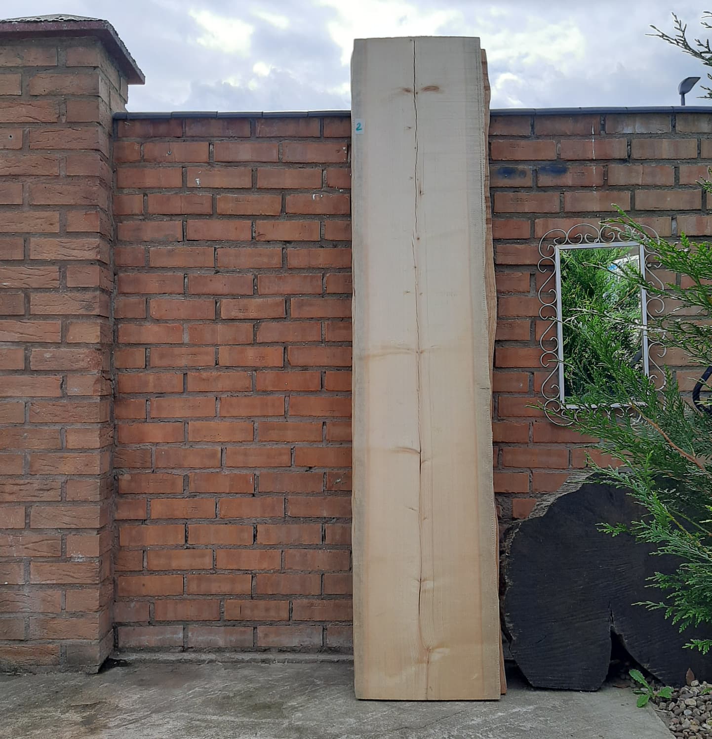 Clerence Sale !! Natural Live Edge Raw Wood for Tables, Benches, Console or Barn Doors