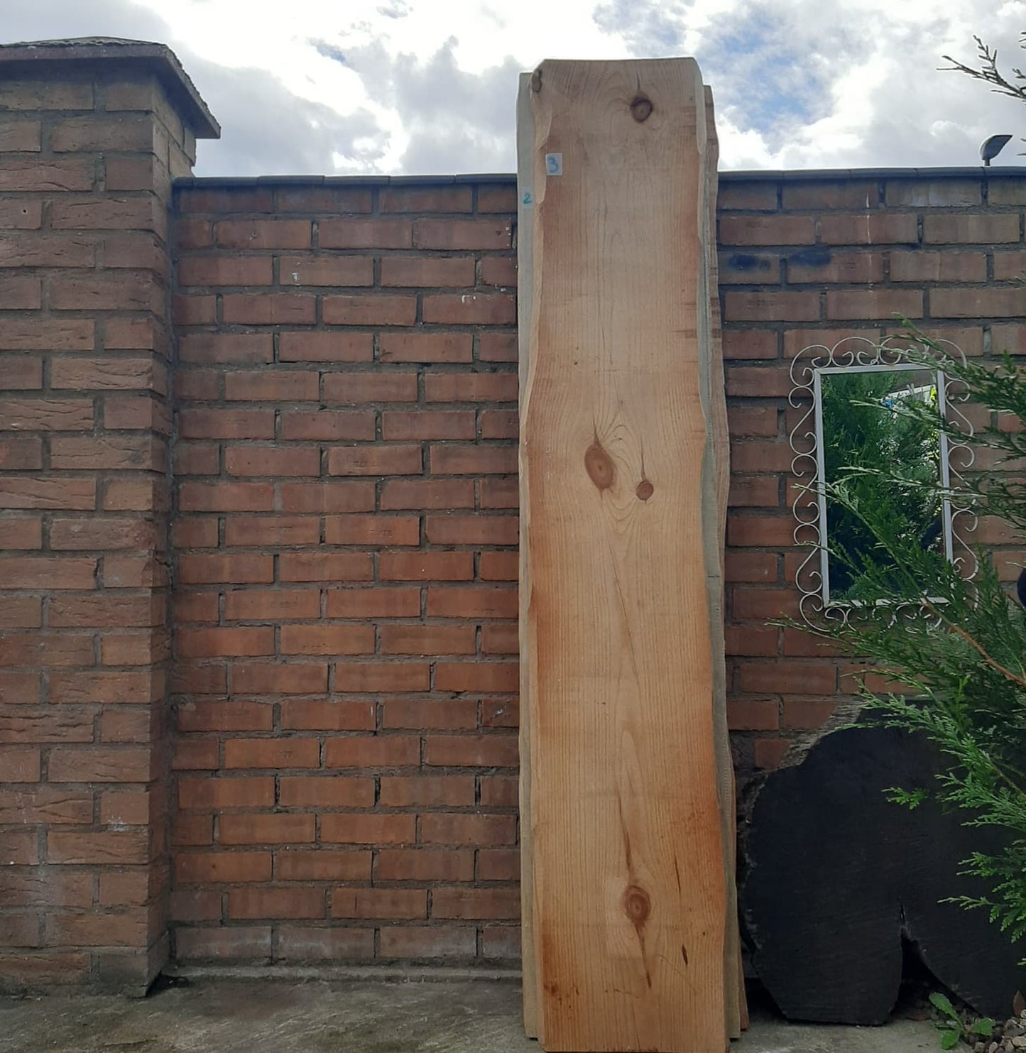 Clerence Sale !! Natural Live Edge Raw Wood for Tables, Benches, Console or Barn Doors