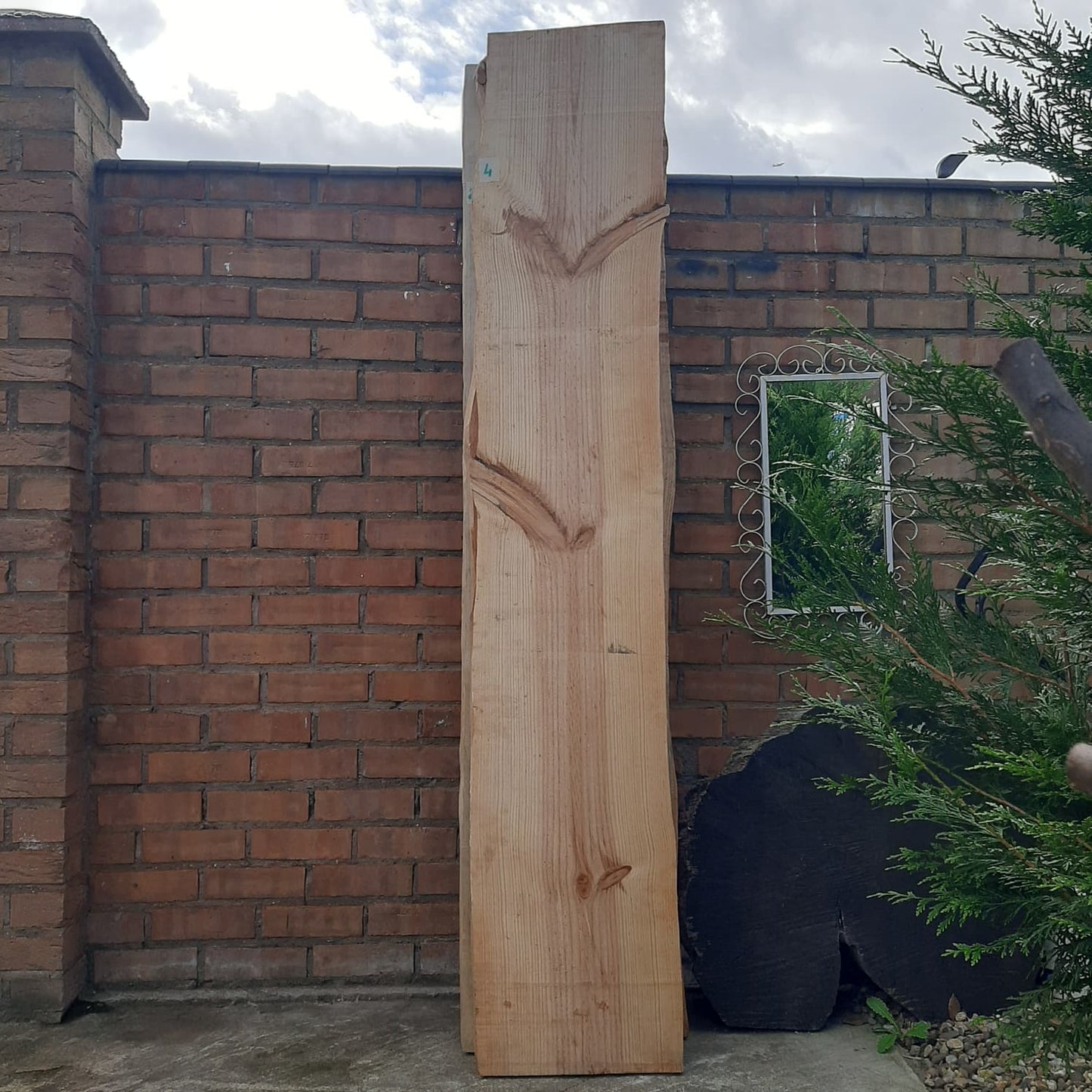 Clerence Sale !! Natural Live Edge Raw Wood for Tables, Benches, Console or Barn Doors