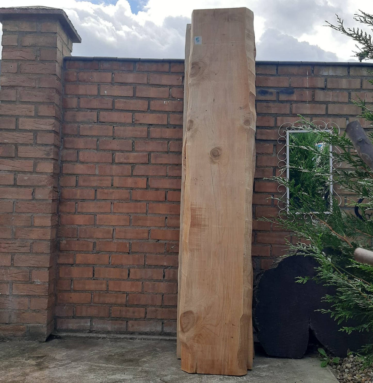 Clerence Sale !! Natural Live Edge Raw Wood for Tables, Benches, Console or Barn Doors