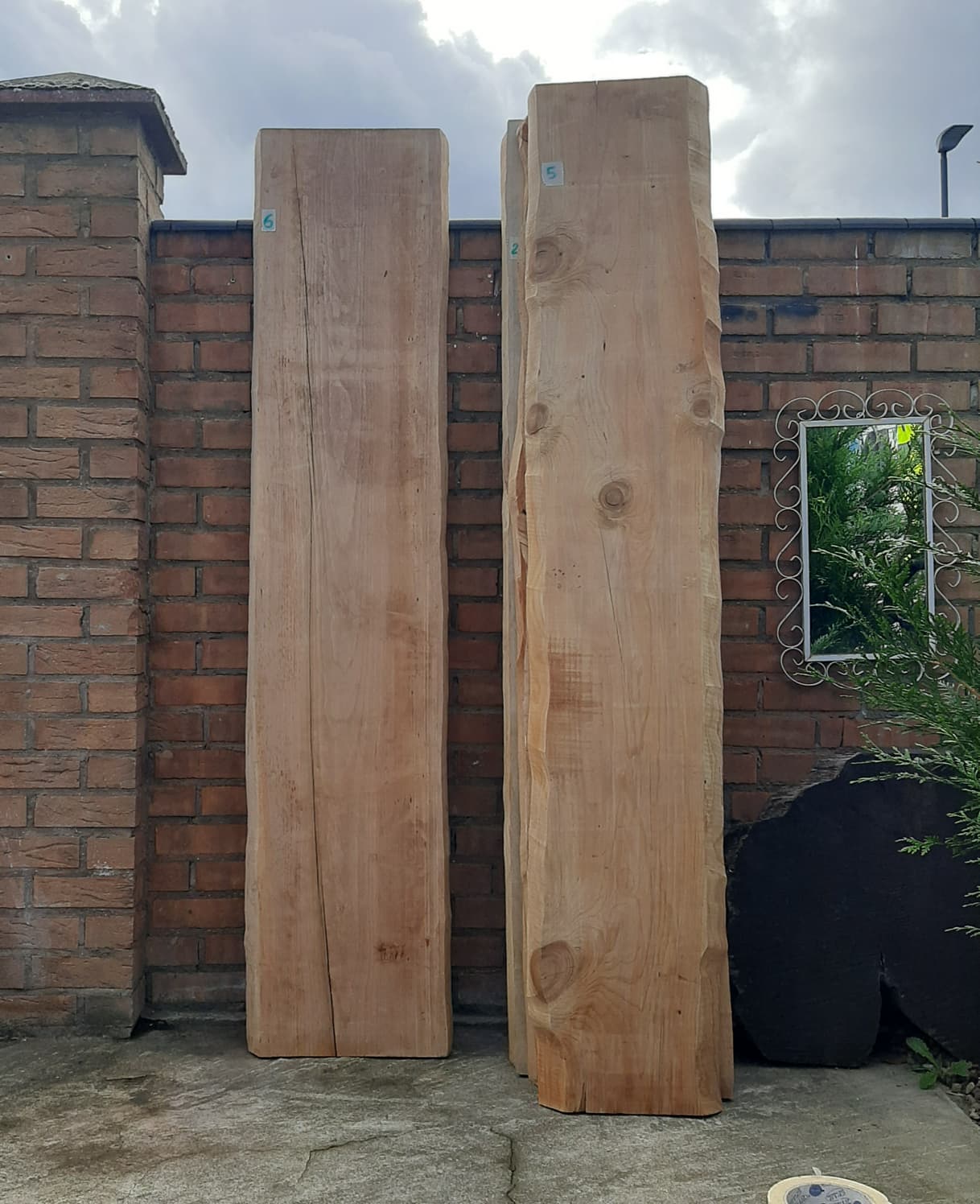 Clerence Sale !! Natural Live Edge Raw Wood for Tables, Benches, Console or Barn Doors