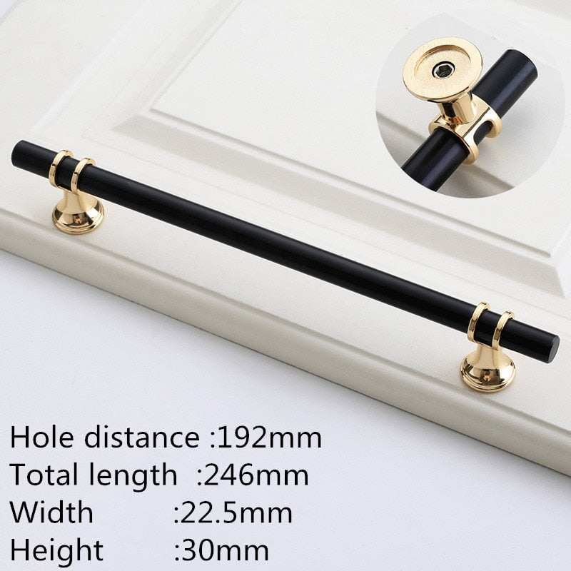 Modern Zinc Alloy Black Gold Door Handles