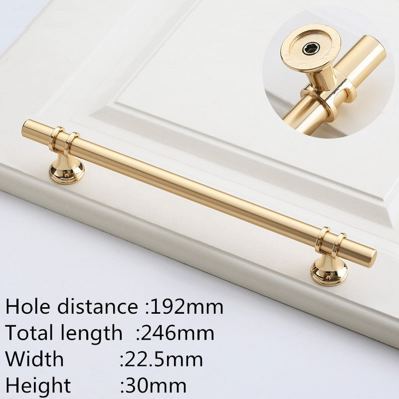 Modern Zinc Alloy Black Gold Door Handles