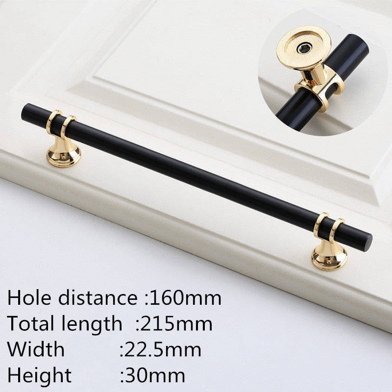 Modern Zinc Alloy Black Gold Door Handles