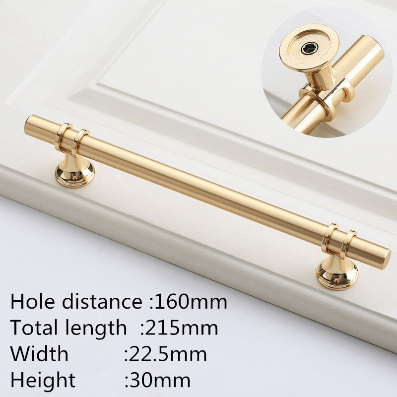 Modern Zinc Alloy Black Gold Door Handles